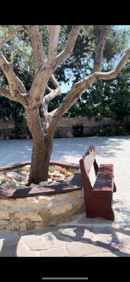 Apartment D&D Premantura Dış mekan fotoğraf